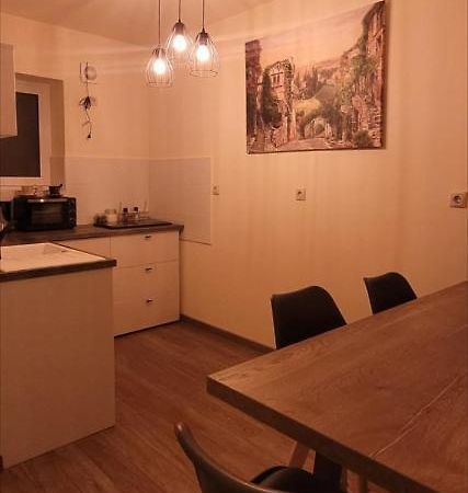Cbt Apartament Тімішоара Екстер'єр фото